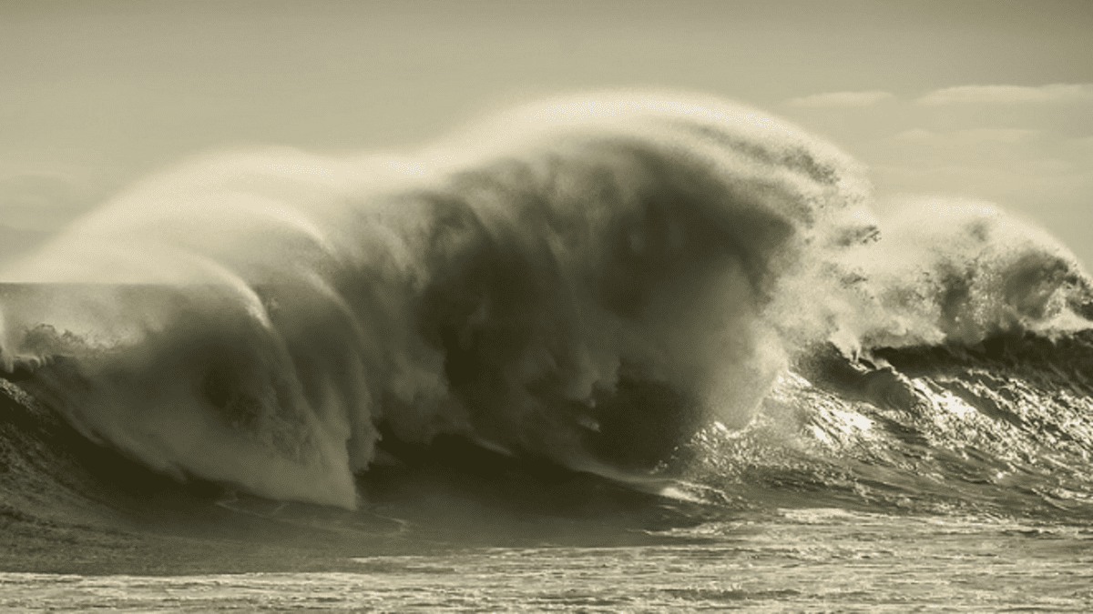 Conservation du littoral et dune du Pilat