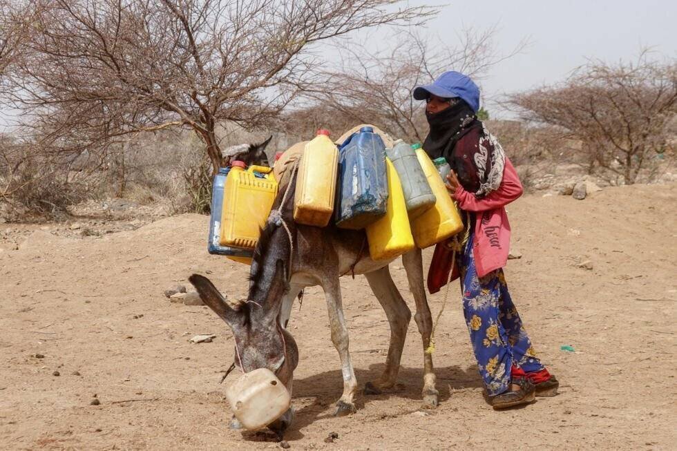 Enfant transportant jerrycans d'eau au Yémen