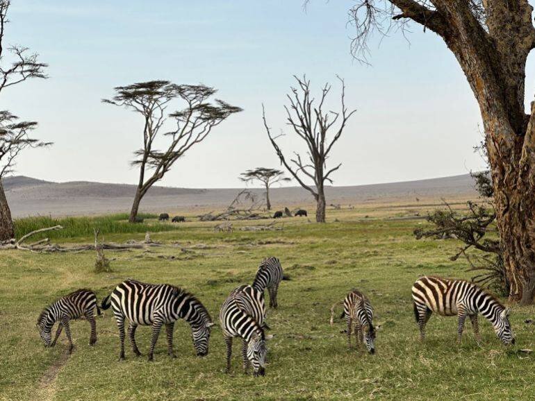 Expérience de séjour dans les lodges du Maasai Mara