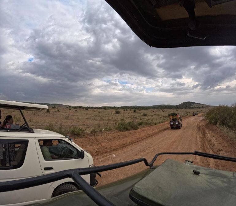 Véhicules photographiant la faune au Maasai Mara