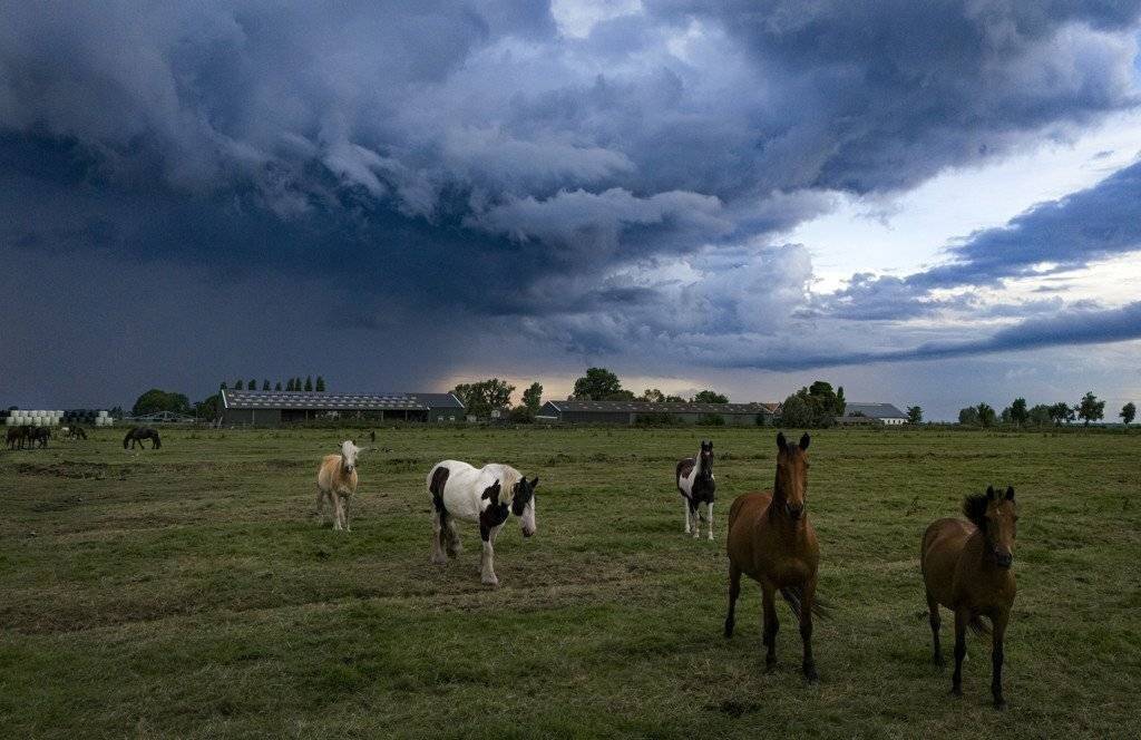 Ciel ensoleillé et nuages orageux aux Pays-Bas