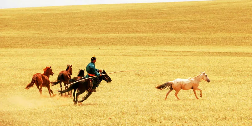 éleveur et chevaux en Mongolie Intérieure