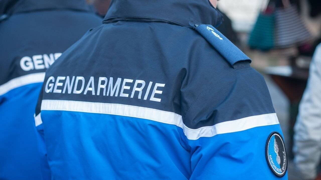 Illustration de gendarmes lors d'un vol