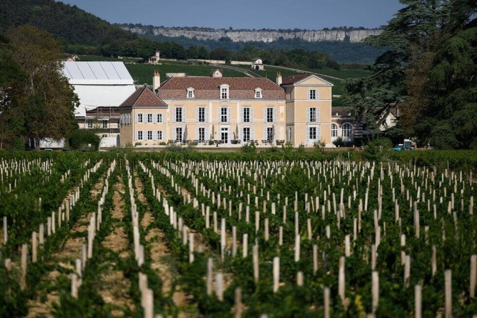 Château de Meursault et vignoble en Bourgogne