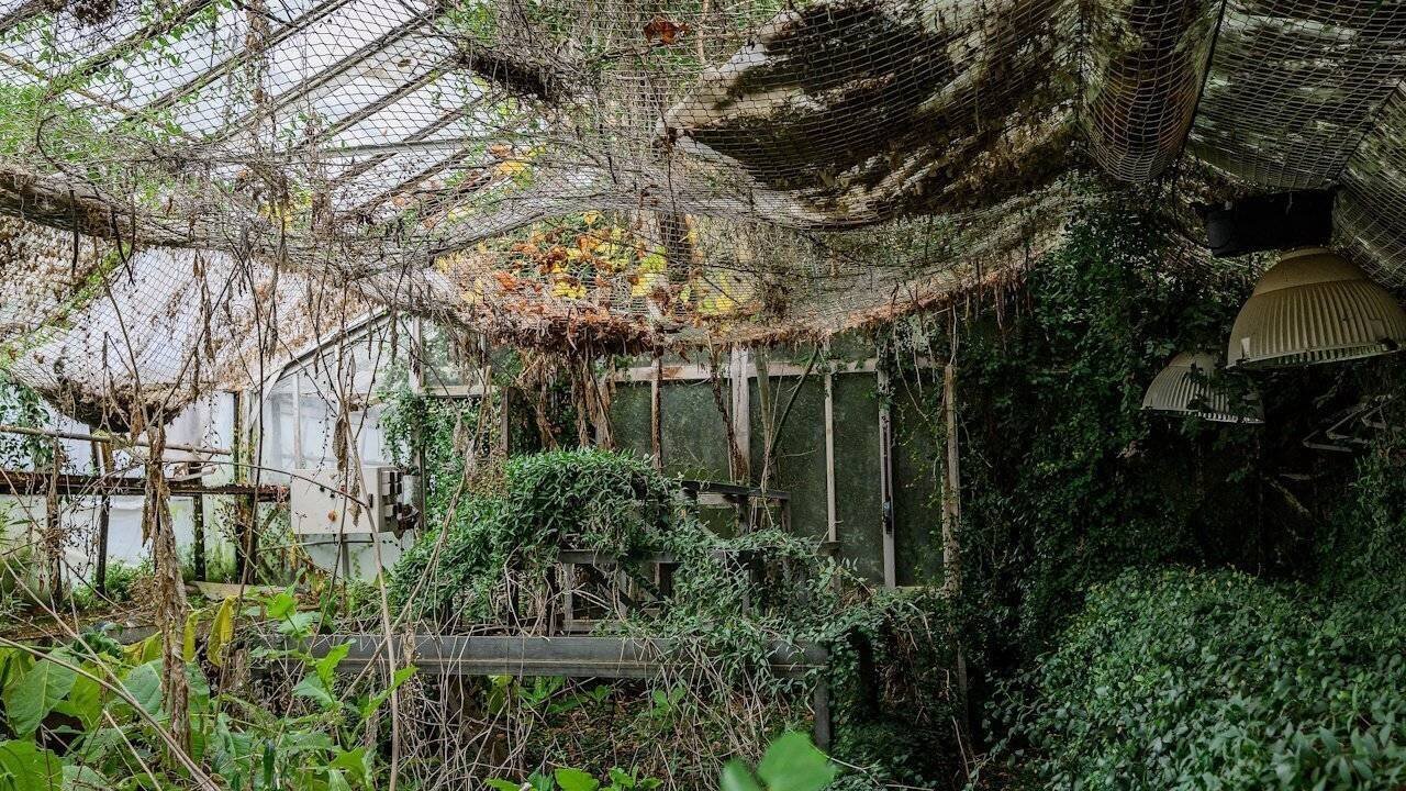 Petites serres du Parc de la Tête d’Or, Lyon