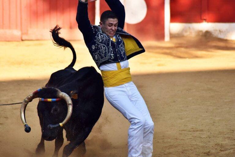 Course landaise lors des f eat Es de Laloub e8re