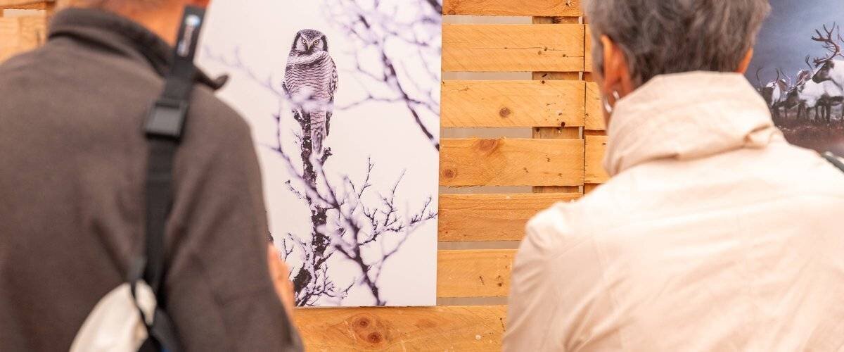 Festival Pyrénéen de l’Image Nature à Cauterets