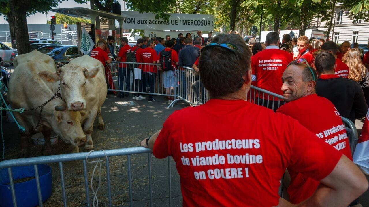 Le traité Mercosur et les oppositions agricoles dirigées par la France