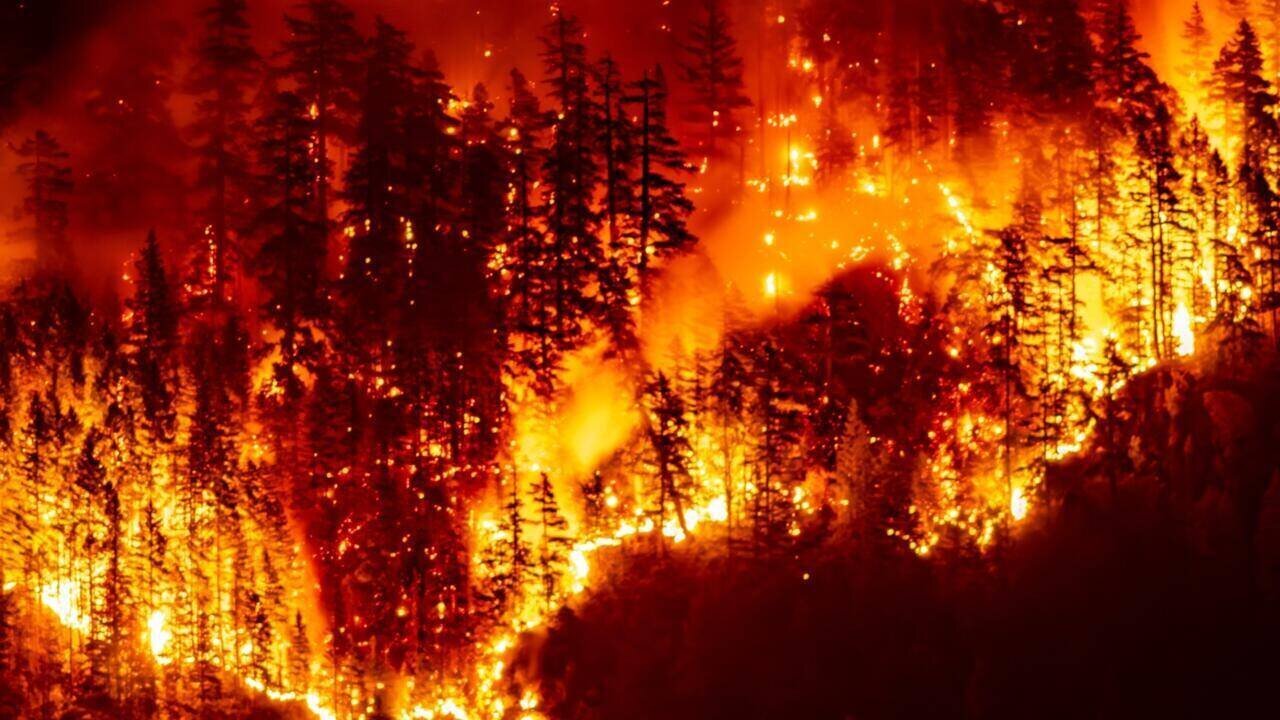Feu de forêt sur l'île de Vancouver