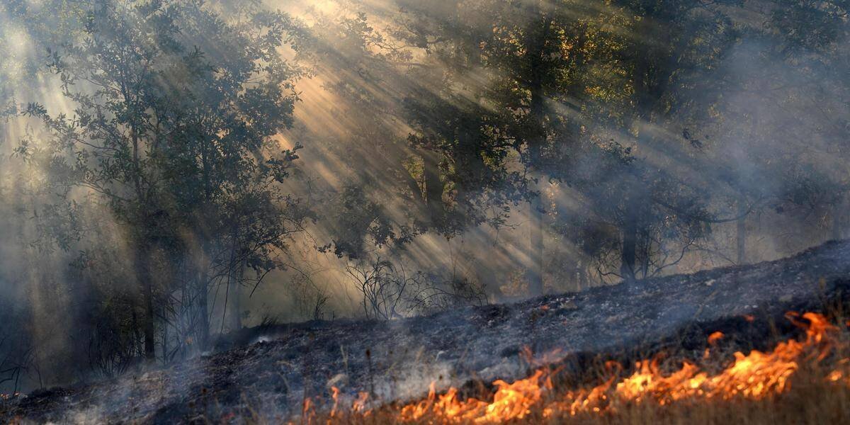 Diffusion transcontinentale de la pollution liée aux feux de forêt