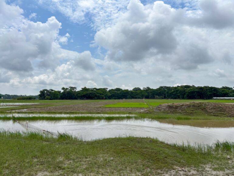 Vue de West Sonatala