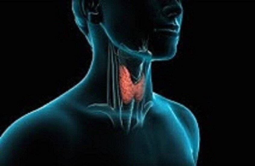 Pourquoi apparaissent les nodules dans la thyroïde ?