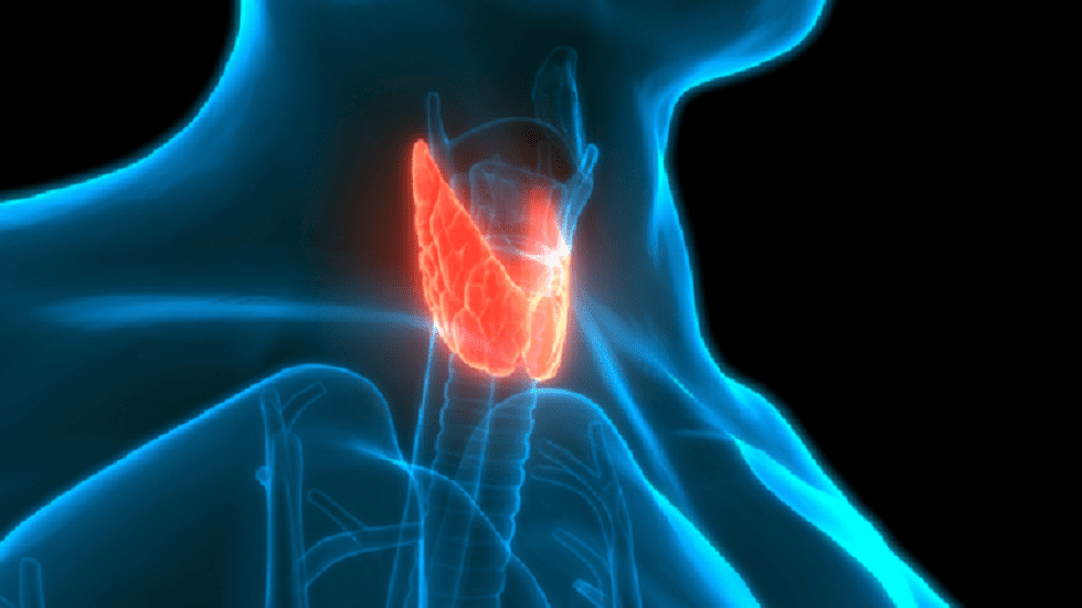 Habitudes alimentaires pouvant nuire à la thyroïde