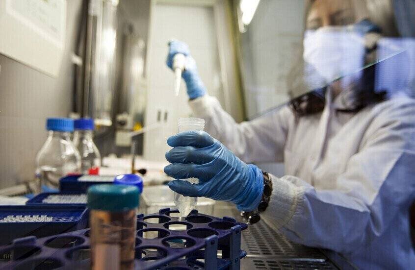 Des scientifiques utilisent le virus de l’herpès contre le cancer