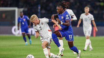 Équipe de France au Parc des Princes