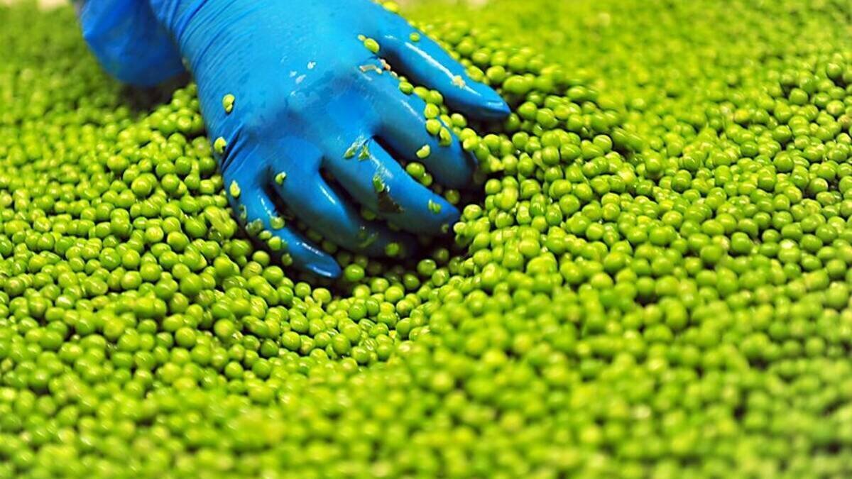 Sachets de petits pois et jeunes carottes surgelés Notre Jardin