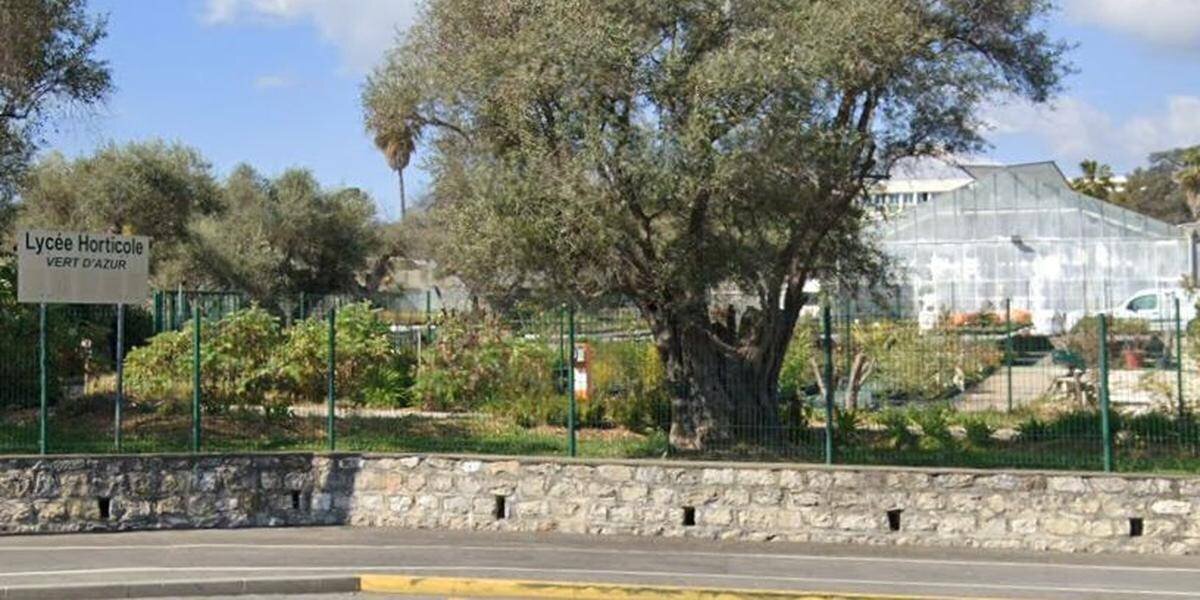 Vue générale du lycée Antibes après l’attaque