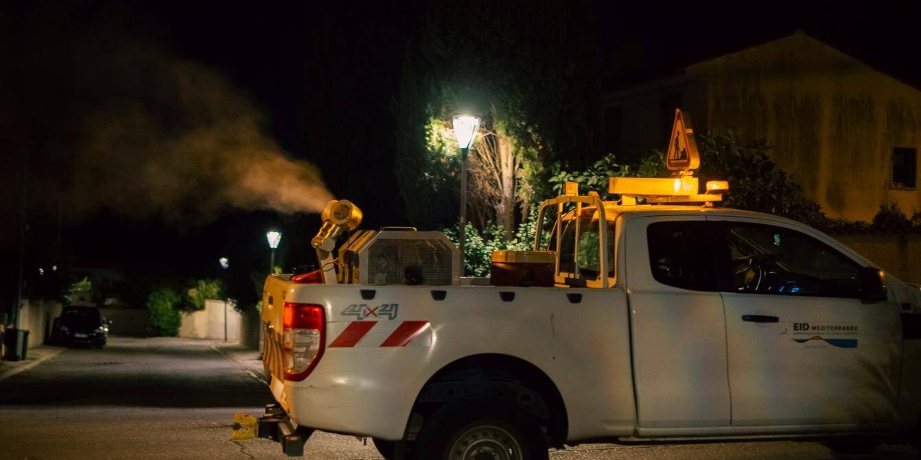 Photo associée à l'information sur le chikungunya en métropole