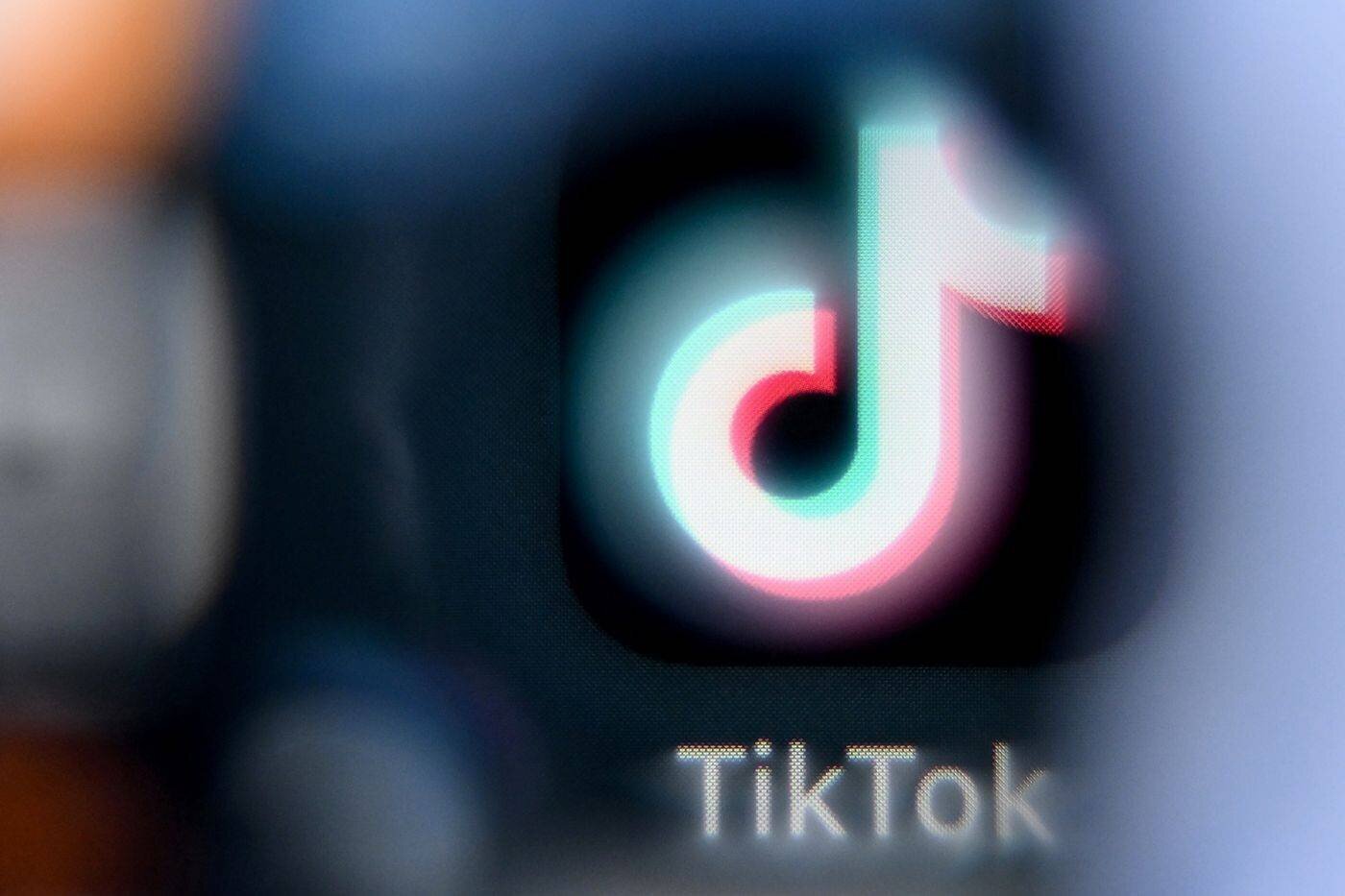 Capture montrant le rapport parlementaire sur TikTok
