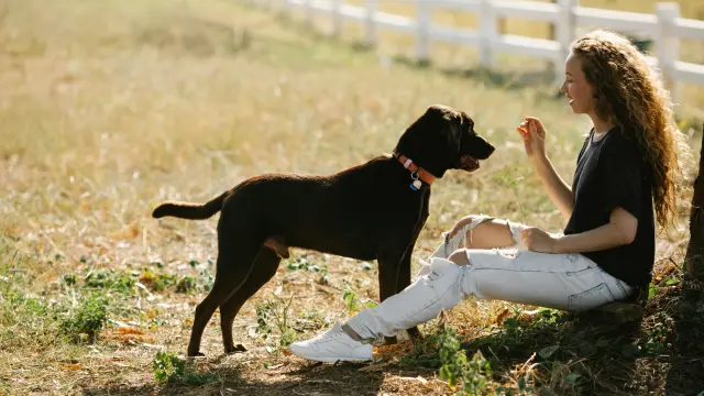Une femme près de son chien