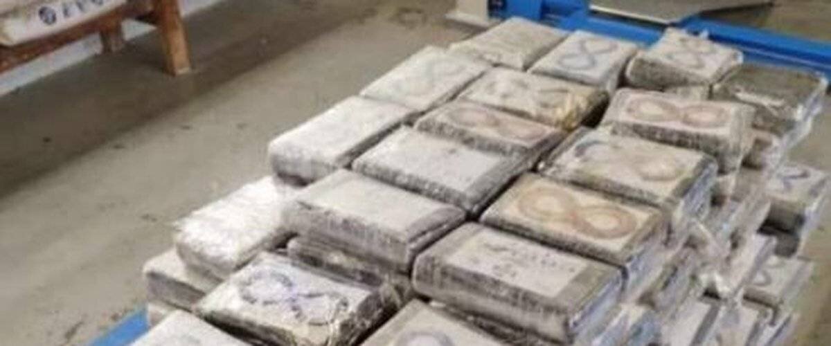 Saisie de cocaïne cachée dans le plancher des remorques