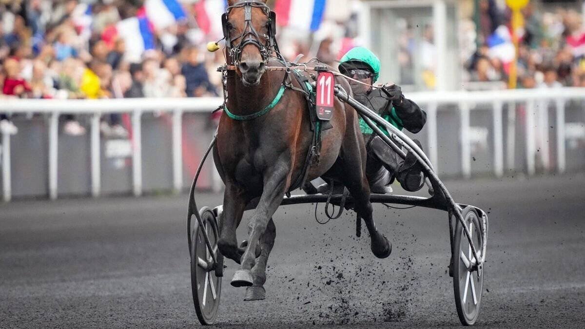 Krack Time Atout victorieux au Critérium des 5 Ans
