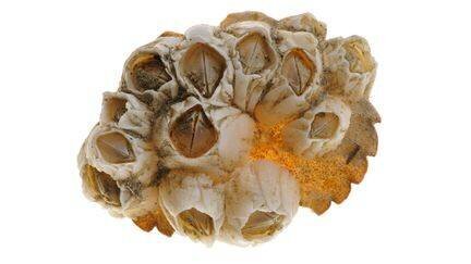 Navire en mer arctique, illustration du reportage