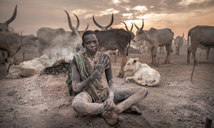 Utilisation de la bouse de vache contre les insectes chez les enfants Dinka