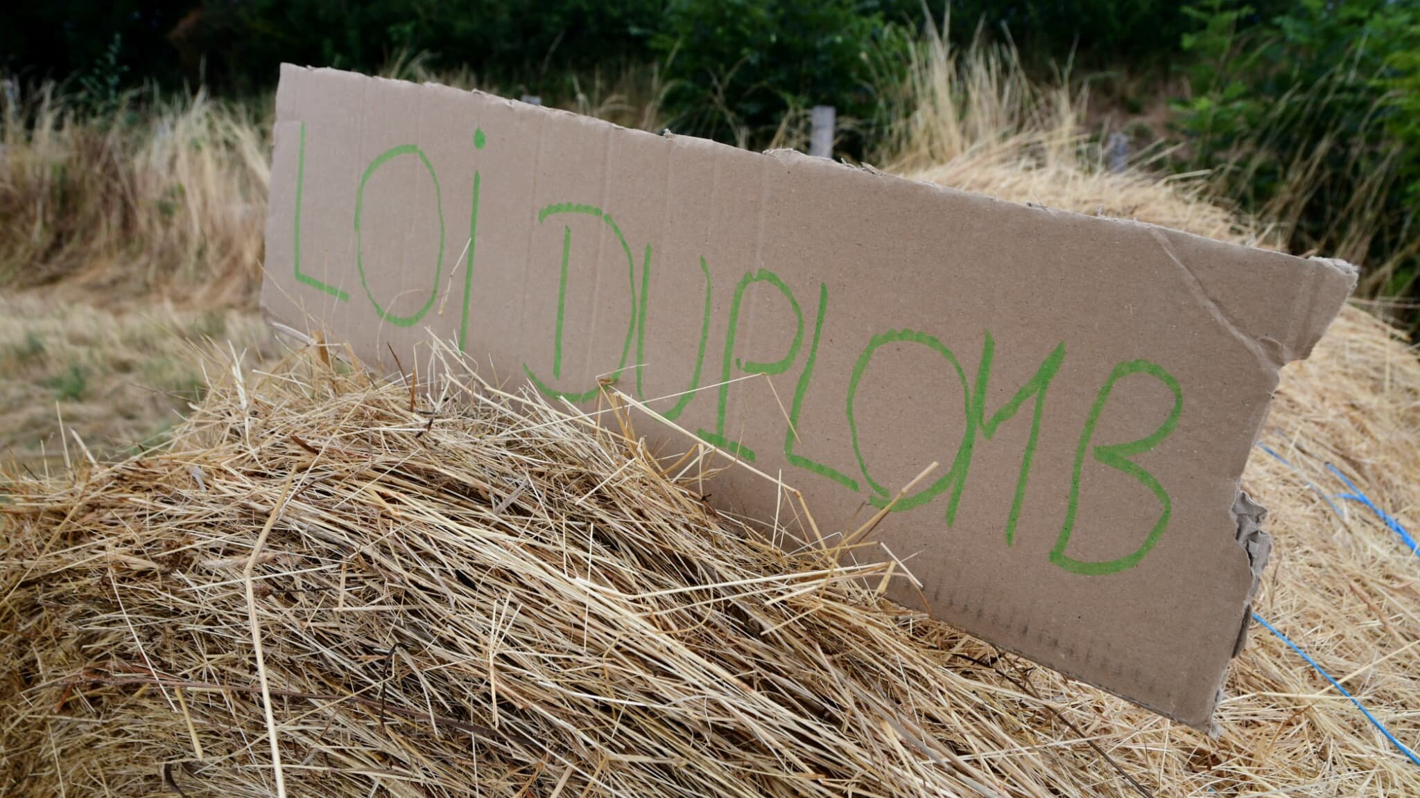 Pétition Duplomb en mouvement à l’Assemblée