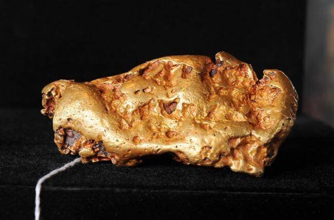 Specimens d’or et vitrines au musée