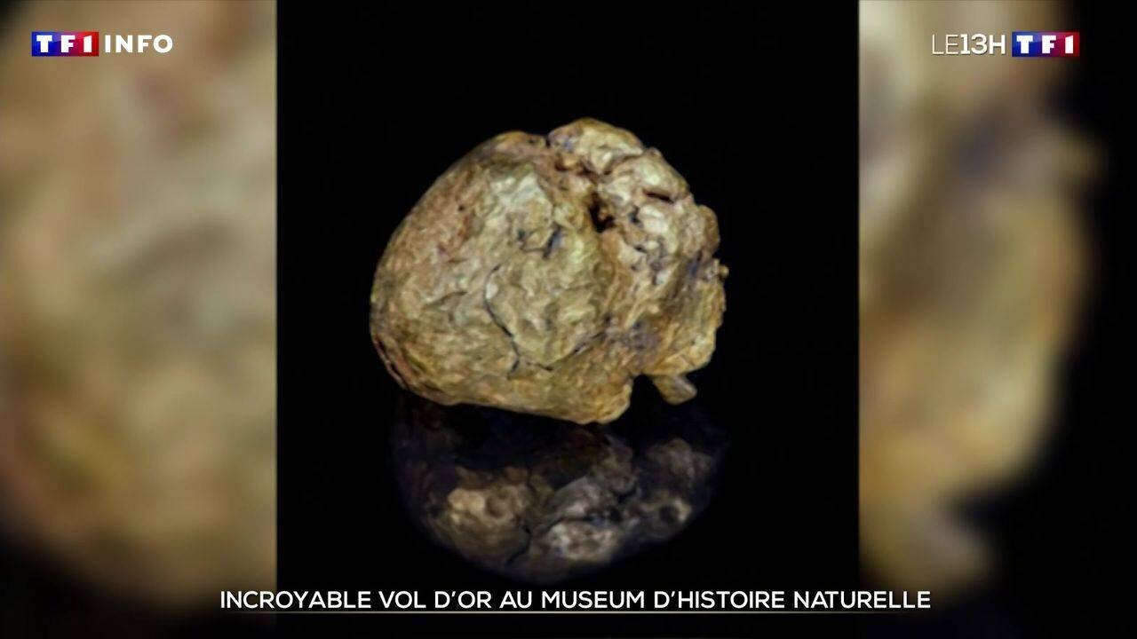 Vue d’ensemble du musée et des espaces exposés