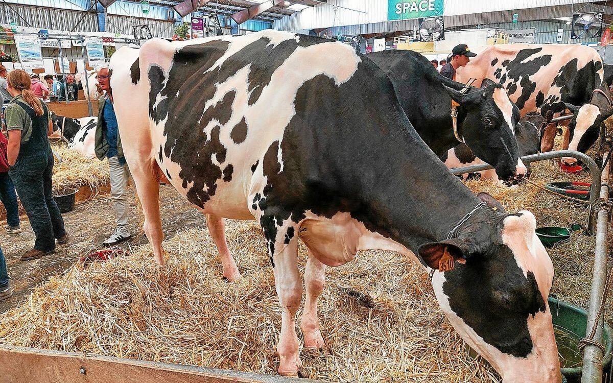 Affluence au Space, salon de l'élevage à Rennes