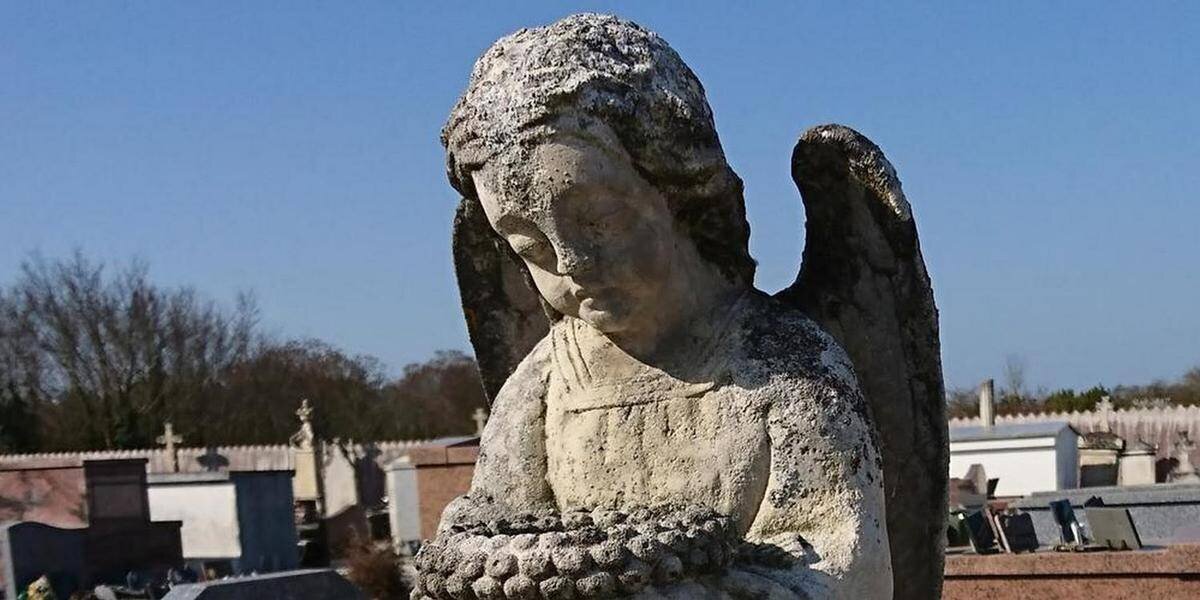 Vue générale de Rochefort et l’Île d’Oléron