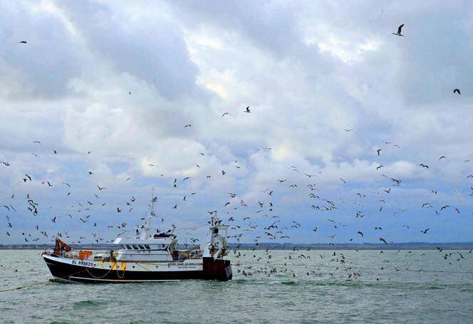 Chalutier Notre‑Dame‑de‑Boulogne en baie de Somme