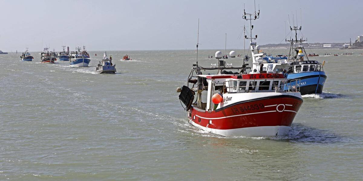Bateaux de pêche en activité et modernisation