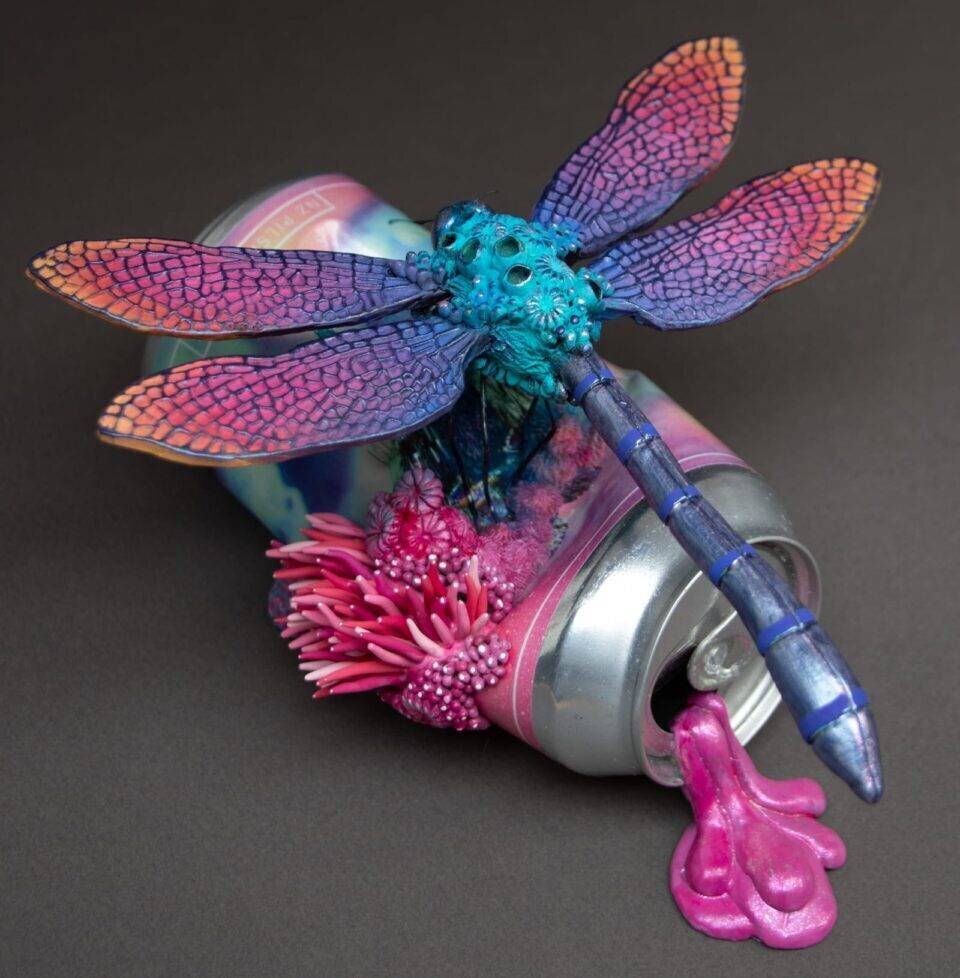 libellule multicolore perchée sur une canette