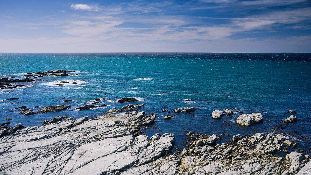 Océan montrant l'acidification et ses impacts sur la vie marine