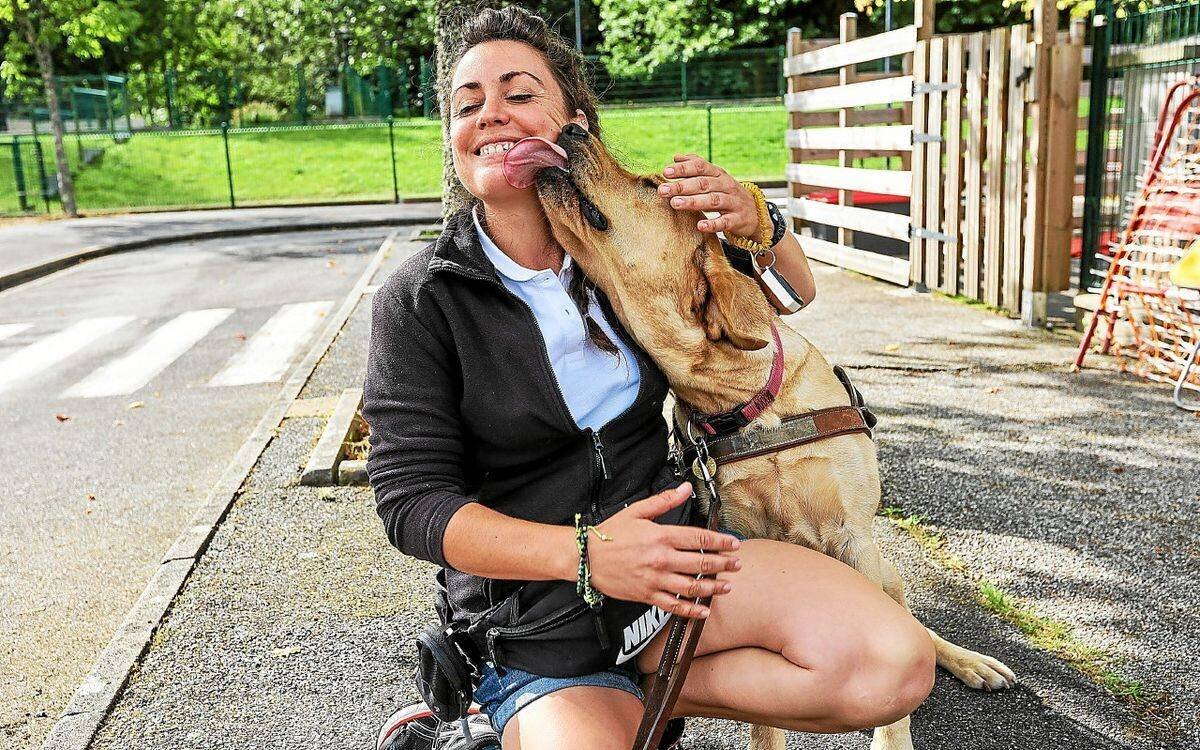 Vue d’ensemble des animations à Lorient ce week-end