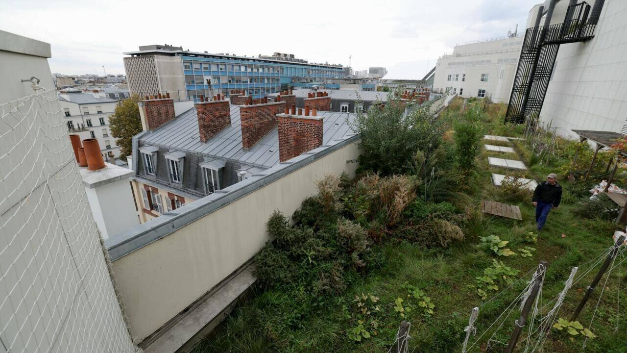 Potager sur le toit de l'Opéra Bastille