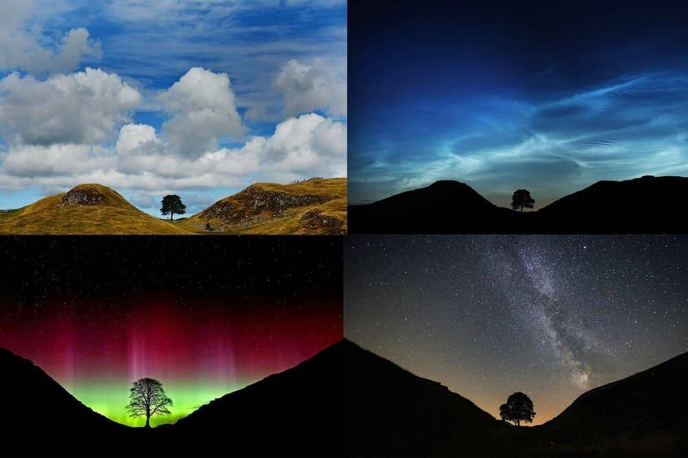 Vue du Sycamore Gap avant sa chute