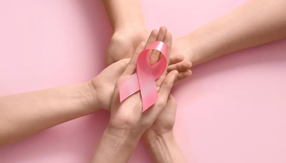 Lancement des activités Octobre Rose à Montauban