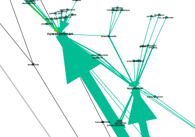 Tweets remettant en cause l'éligibilité de la candidate