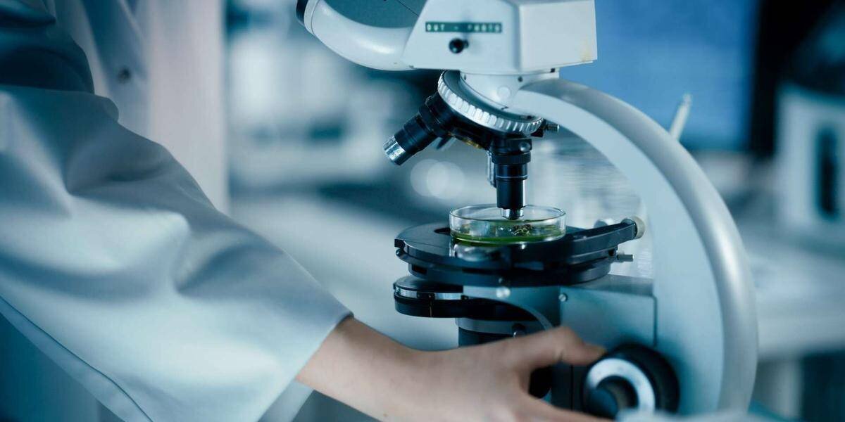 Signature immunitaire révélée par protéines mutantes dans des cellules tumorales