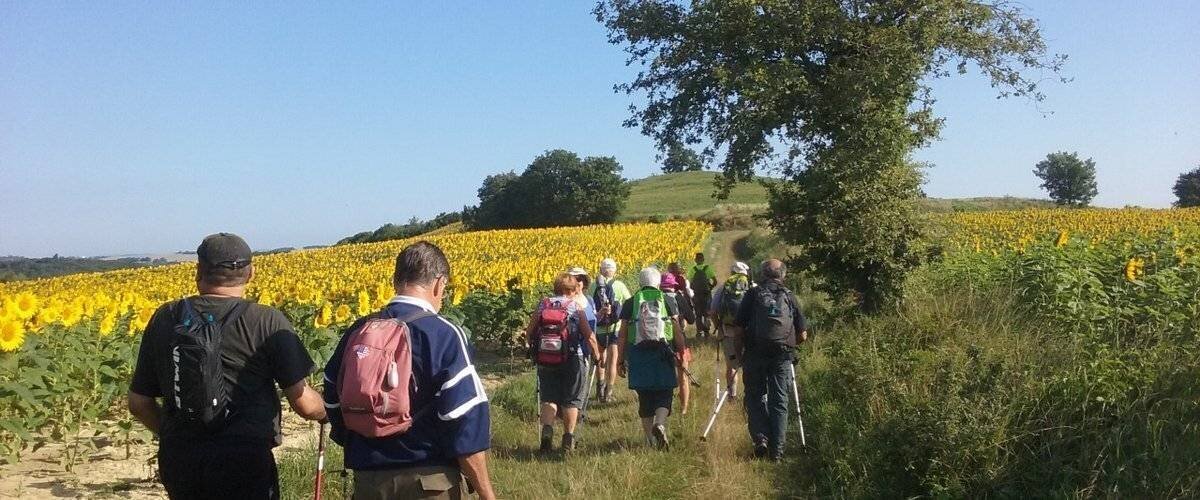 Randonnée solidaire à Puylaurens et Octobre Rose