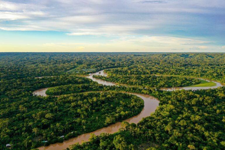 Vue aérienne d'une forêt tropicale et d'une rivière en Amazonie