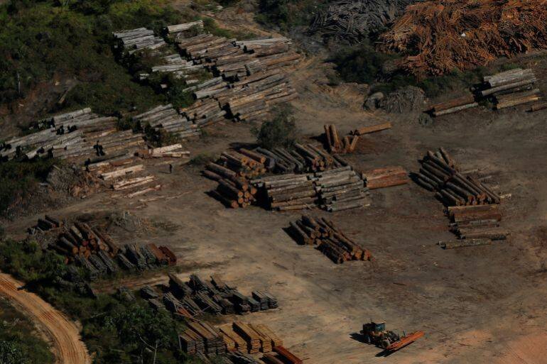 Tas de bois saisis lors d'une opération contre l'exploitation illégale en Amazonie