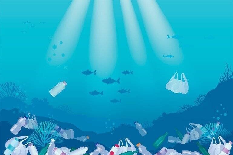 Déchets plastiques sur une plage, menaçant la vie marine et la biodiversité