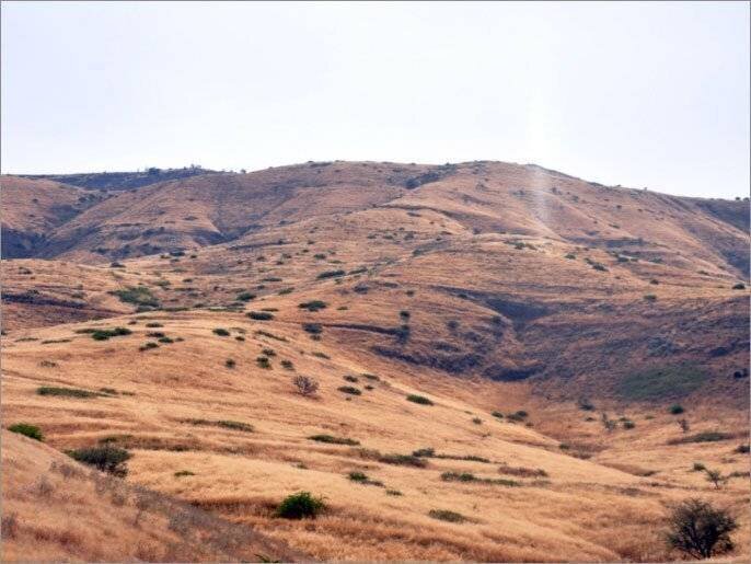 Zones du plateau du Golan utilisées pour des exercices militaires