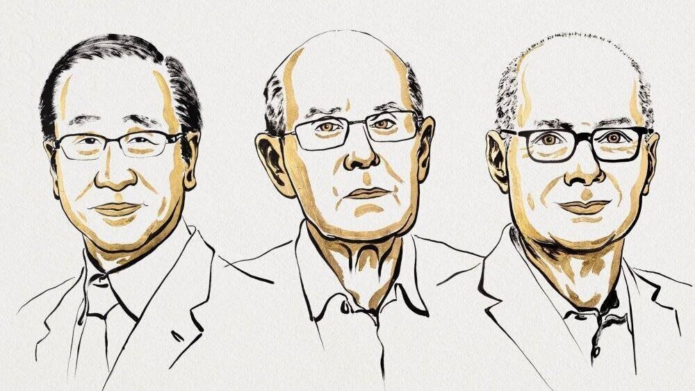 Susumu Kitagawa, Omar M. Yaghi et Richard Robson