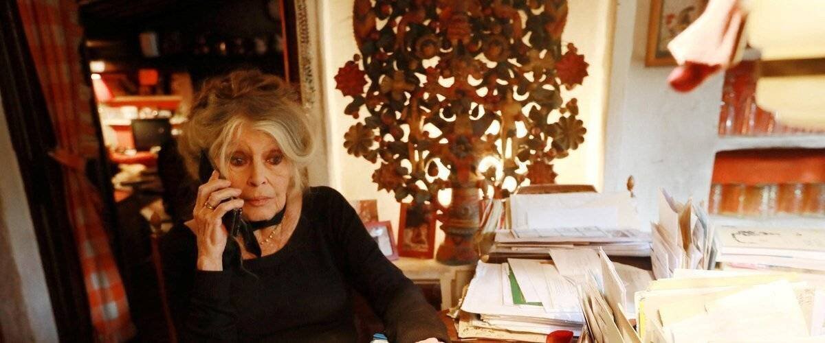 Brigitte Bardot hospitalisée à Toulon